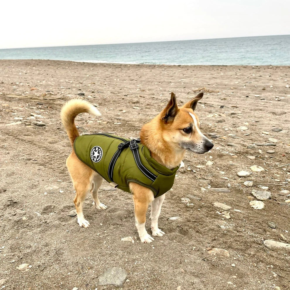 Hundjacka Med Huva – Skyddande Husdjursplagg För Utomhusbruk