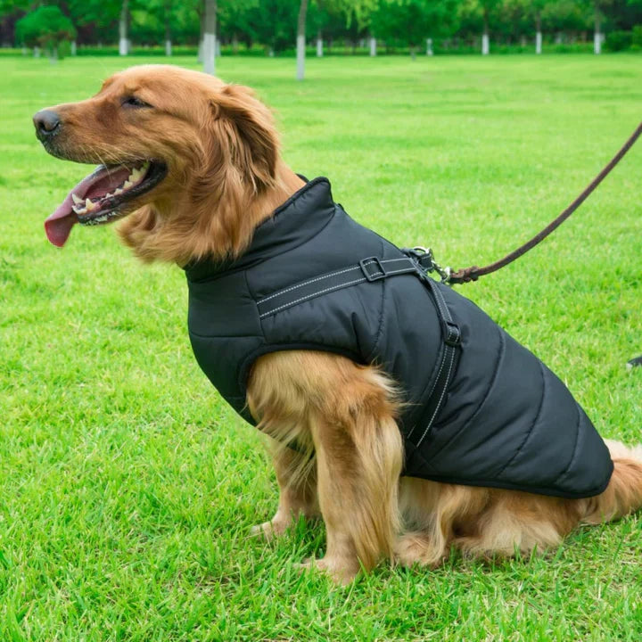 Hundjacka Med Huva – Skyddande Husdjursplagg För Utomhusbruk