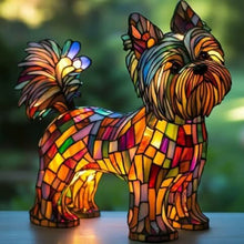 Yorkshire Terrier Typ B