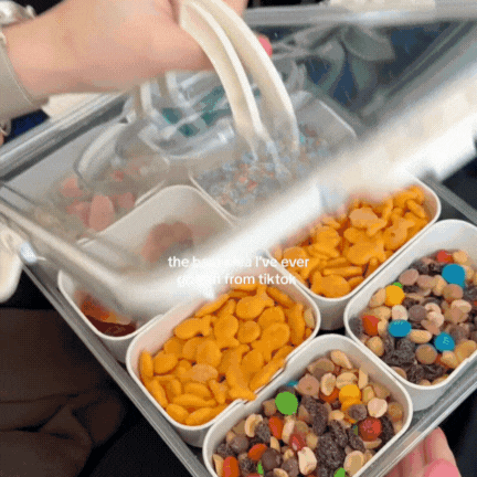 PicnicBox | Elegant Snacksbehållare För Alla Tillfällen – Praktisk & Stilren