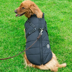 Hundjacka Med Huva – Skyddande Husdjursplagg För Utomhusbruk